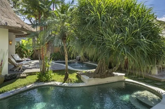 Tirta Naga Villa - Havuz