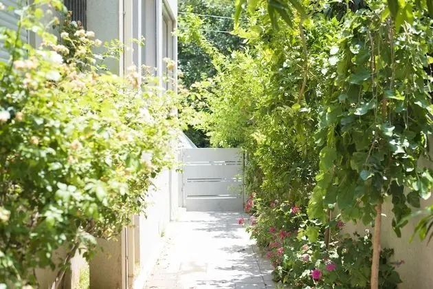Villa in TLV with a BIG YARD and POOL - Dış Mekan