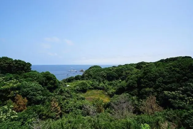 Tobi Hostel and Apartments - Plaj
