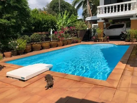 Toby's Health Retreat - Havuz