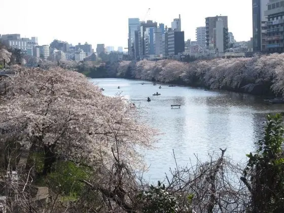 TOKYO CENTRAL YOUTH HOSTEL - Dış Mekan