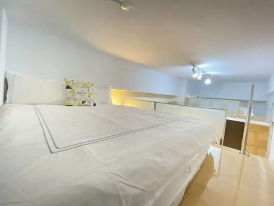 Tokyo Loft duplex apt