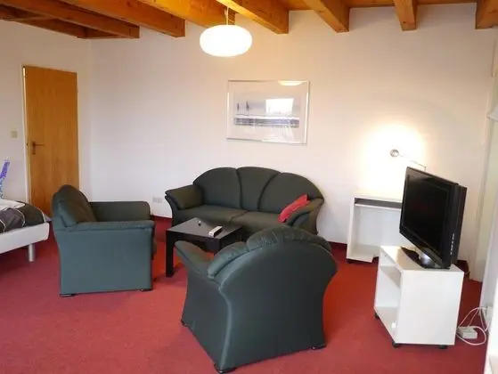 Tolstov-Hotels Big Room Apartment - Oda Düzeni