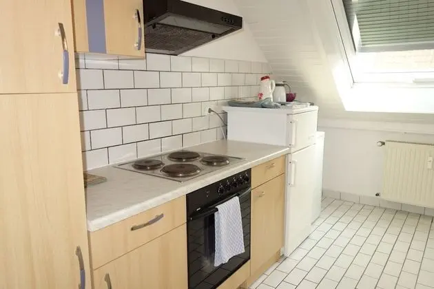 Tolstov-Hotels Generous 3 Room Apartment - Mutfak