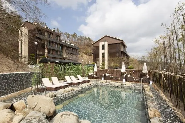 Tomonoya Hotel & Ryokan Gyeongju - Havuz