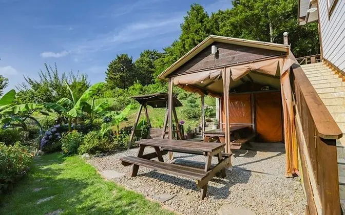 Tongyeong Santa Lucia Pension - Misafir Tesisleri ve Hizmetleri