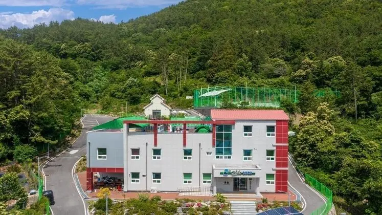 Tongyoung Sandeulhae Heallingcamp Pension - Dış Mekan