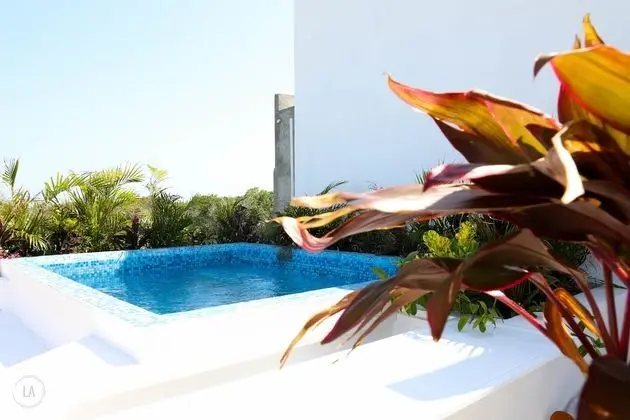 Tony Condo 2 bedroom sleeps 4 - Havuz