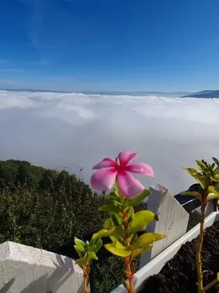 Toptepe Panorama Otel - Genel