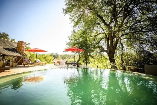 Toro River Lodges Big 5 Exclusive Safari - Havuz