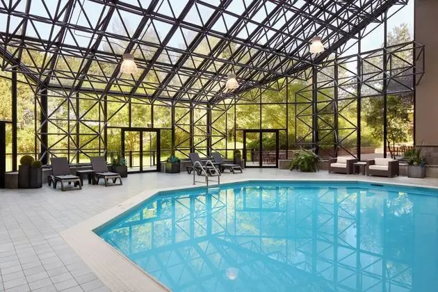 Toronto Airport Marriott Hotel - Havuz