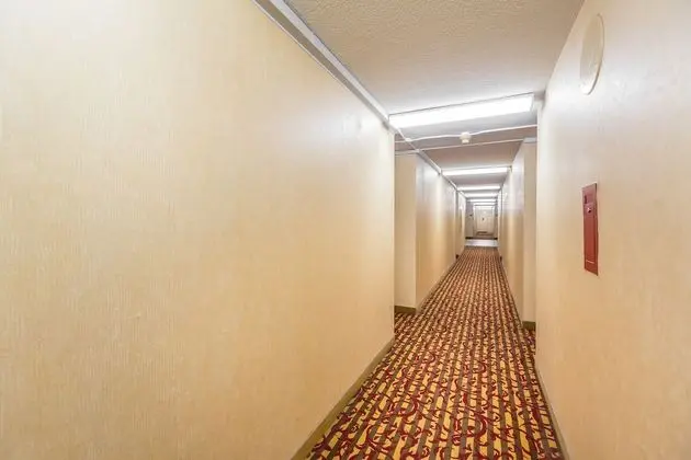 Toronto Furnished Living - Gerard St. E - İç Mekan