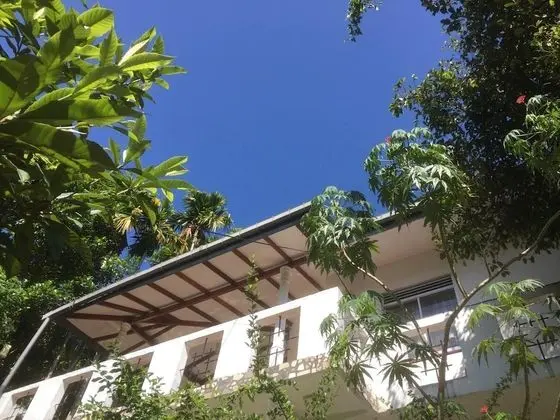 toropi homestay