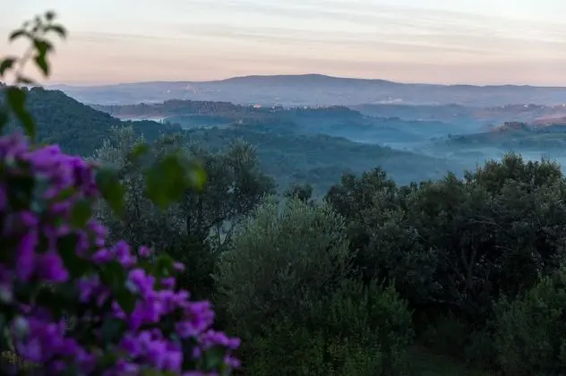 Villa Torre Chianti - Dış Mekan