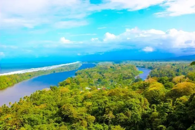 Hotel Tortuguero Beachfront - Öne Çıkan Resim