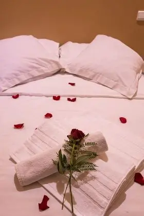 Hotel Toulousain - Oda