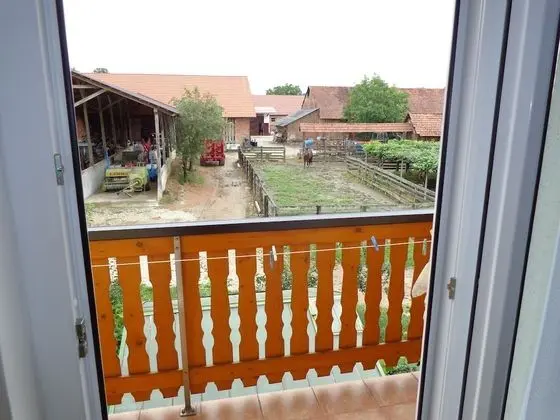 Tourist farm and beekeeping Salamun - Dış Mekan