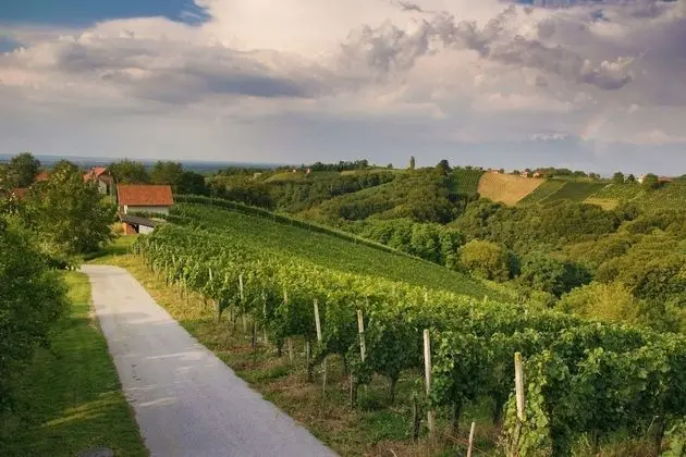 Tourist Farm Dervaric