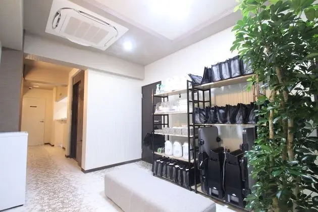 Hotel Tourist Inn Ueno Okachimachi - Lobi