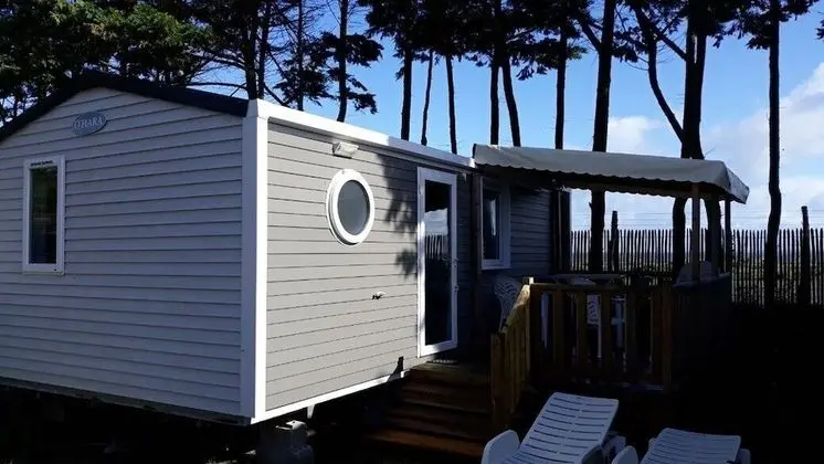 Tourne pied à Collier