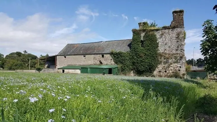 The Tower House B&B