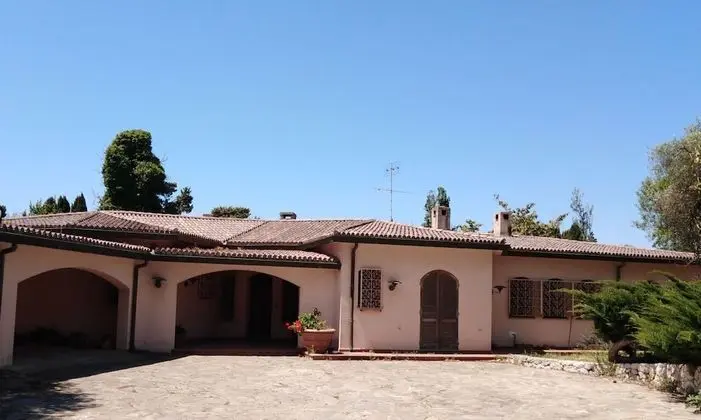 Town & Country Guest House B&B - Dış Mekan