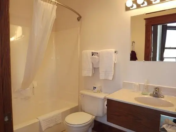 Town Hall Inn - Banyo Tipleri