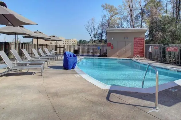 TownePlace Suites by Marriott Albany - Havuz