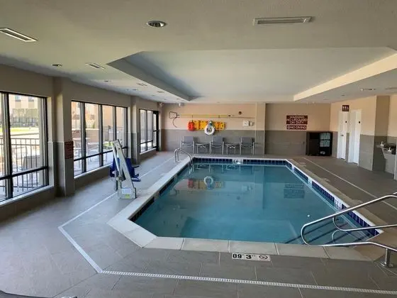 TownePlace Suites by Marriott Detroit Belleville - Havuz