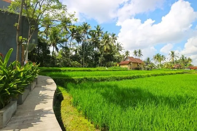 Toya Villa Ubud - Dış Mekan