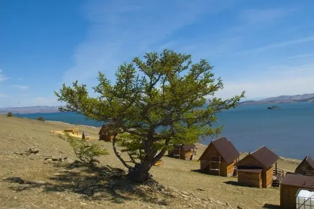 Toynak - Guest Houses - campsite - Dış Mekan