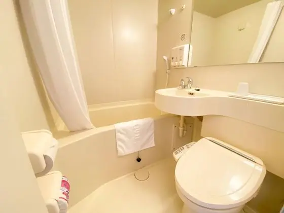 Toyoko Inn Hirosaki Ekimae - Banyo Tipleri