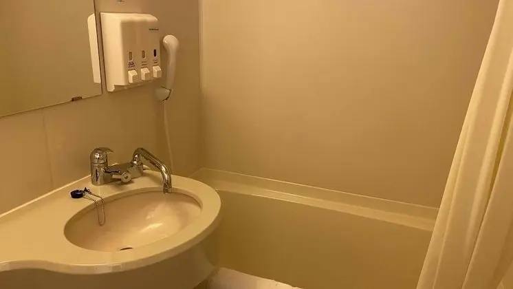 Toyoko Inn Hitachi Ekimae - Banyo Tipleri