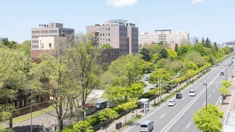 Toyoko Inn Hokkaido Sapporo Station Nishi Hokudai Mae - Oda Manzaraları