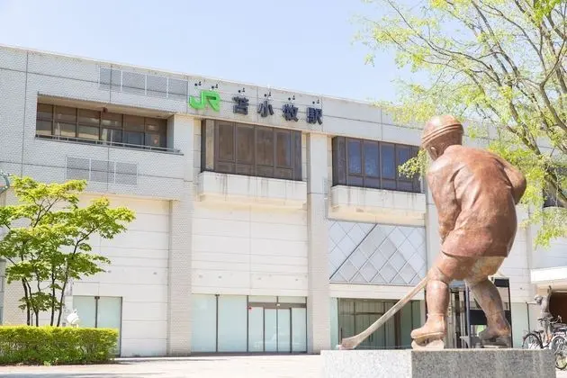 Toyoko Inn Hokkaido Tomakomai Ekimae - Dış Mekan