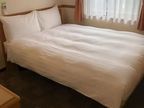 Toyoko Inn Kagoshima Temmonkan No.1 - Oda