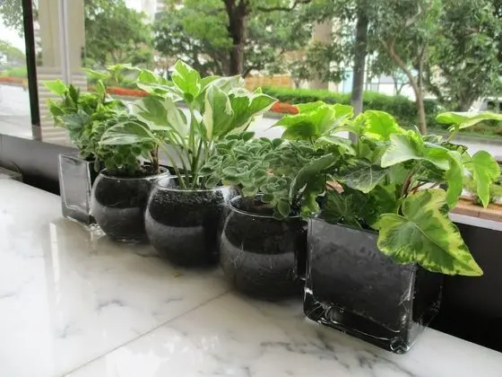 Toyoko Inn Okinawa Naha Omoromachi Ekimae - Lobi