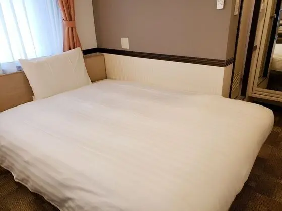Toyoko Inn Tokyo Kamata Higashi - Oda