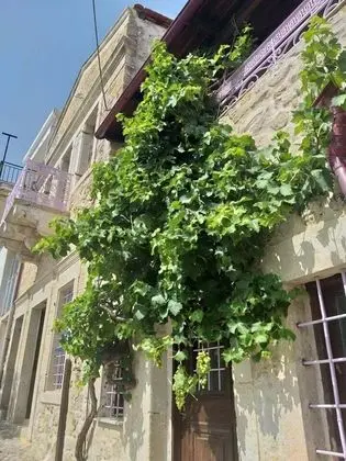 Traditional Cretan Houses - Dış Mekan