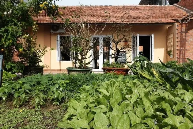 Trai Hoa Vang Homestay - Hostel - Öne Çıkan Resim