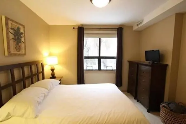 Tranquil Apartment Overlooking Creek #244 - Öne Çıkan Resim