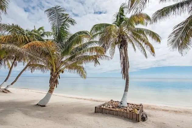 Tranquility Bay Resort - Plaj