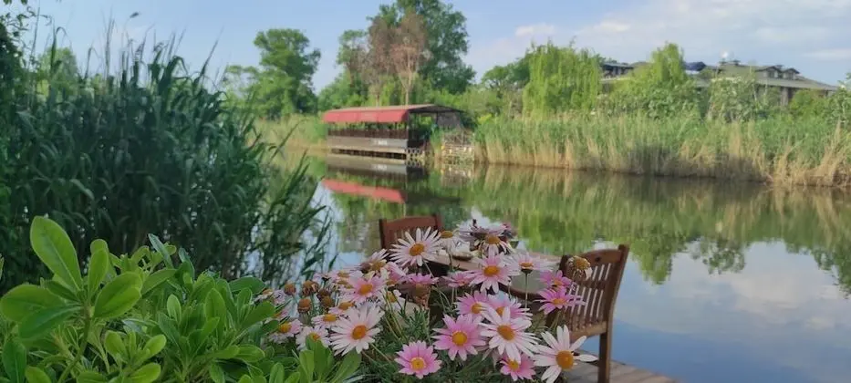 Tranquilla Nehir Evi - Dış Mekan