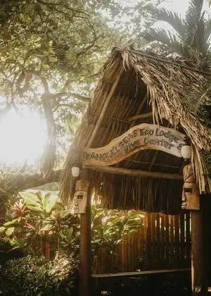 Tranquilseas Eco Lodge & Dive Center - Dış Mekan