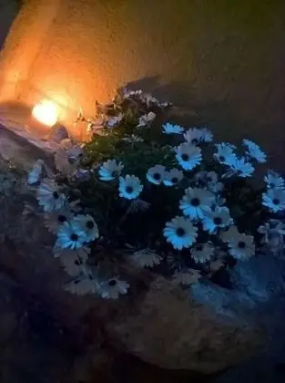 Trapani Secret B&B - Dış Mekan