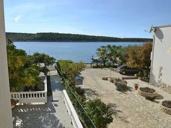 Trava Barbat na Rabu - Oda