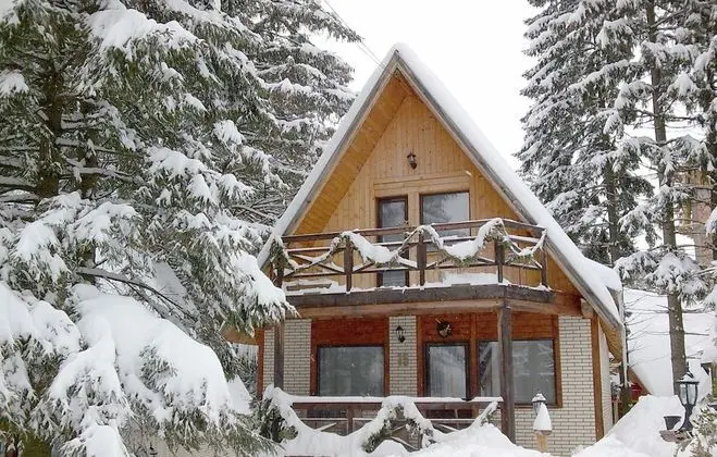 Traveland Butique Resort Poiana Brasov - Dış Mekan