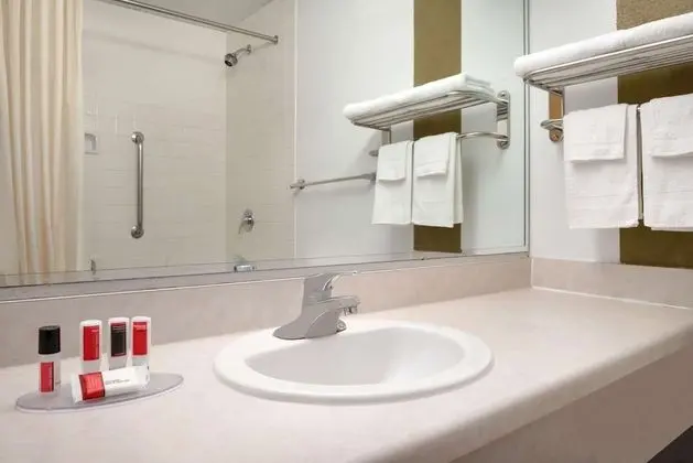 Travelodge by Wyndham Zanesville - Banyo Tipleri