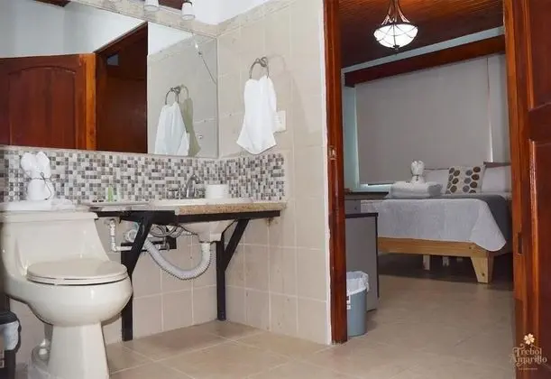 Trebol Amarillo Bed & Breakfast - Banyo Tipleri