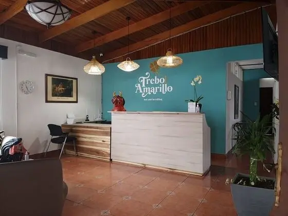 Trebol Amarillo Bed & Breakfast - Lobi